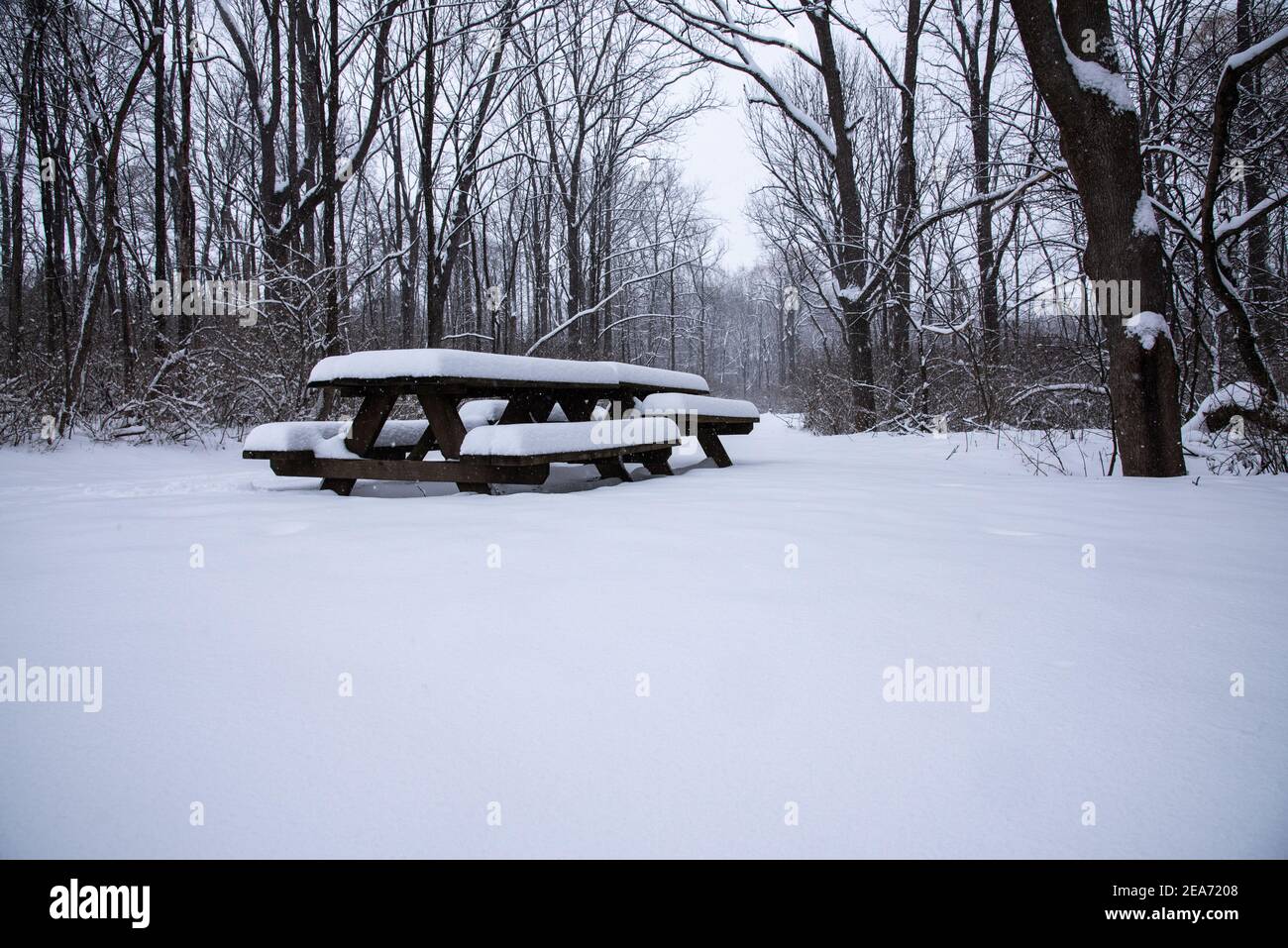 Ein Picknickplatz in einem Winterwunderland Stockfoto