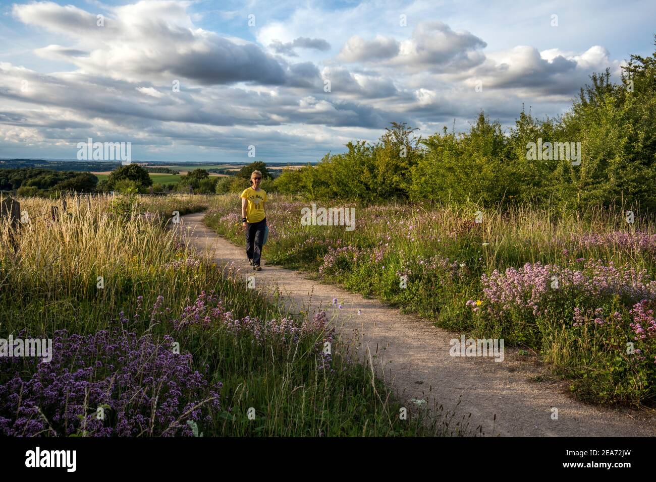 Magdalen Hill Down; Frau zu Fuß; Hampshire; Großbritannien Stockfoto