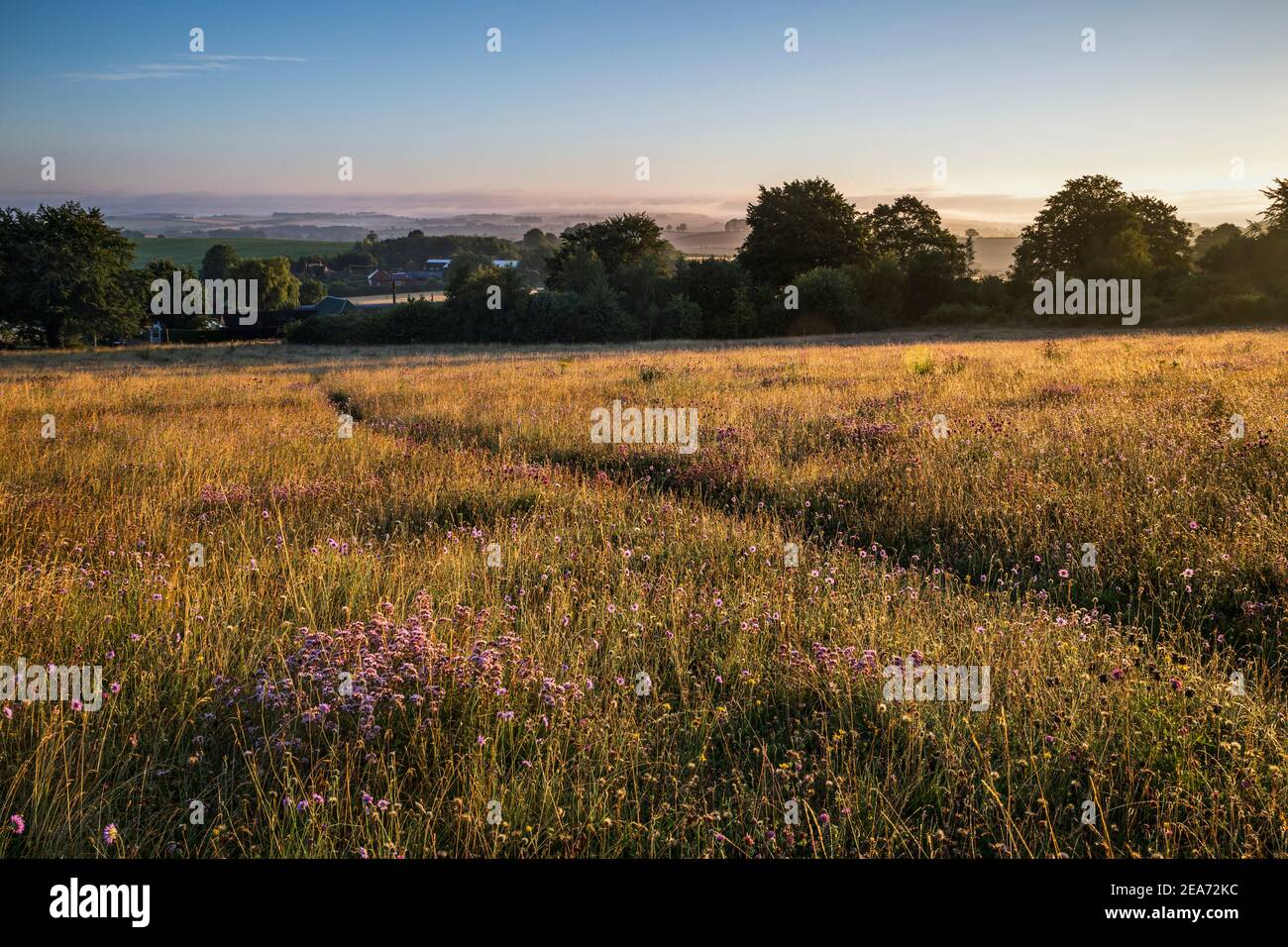 Magdalen Hill Down; Hampshire; Großbritannien Stockfoto