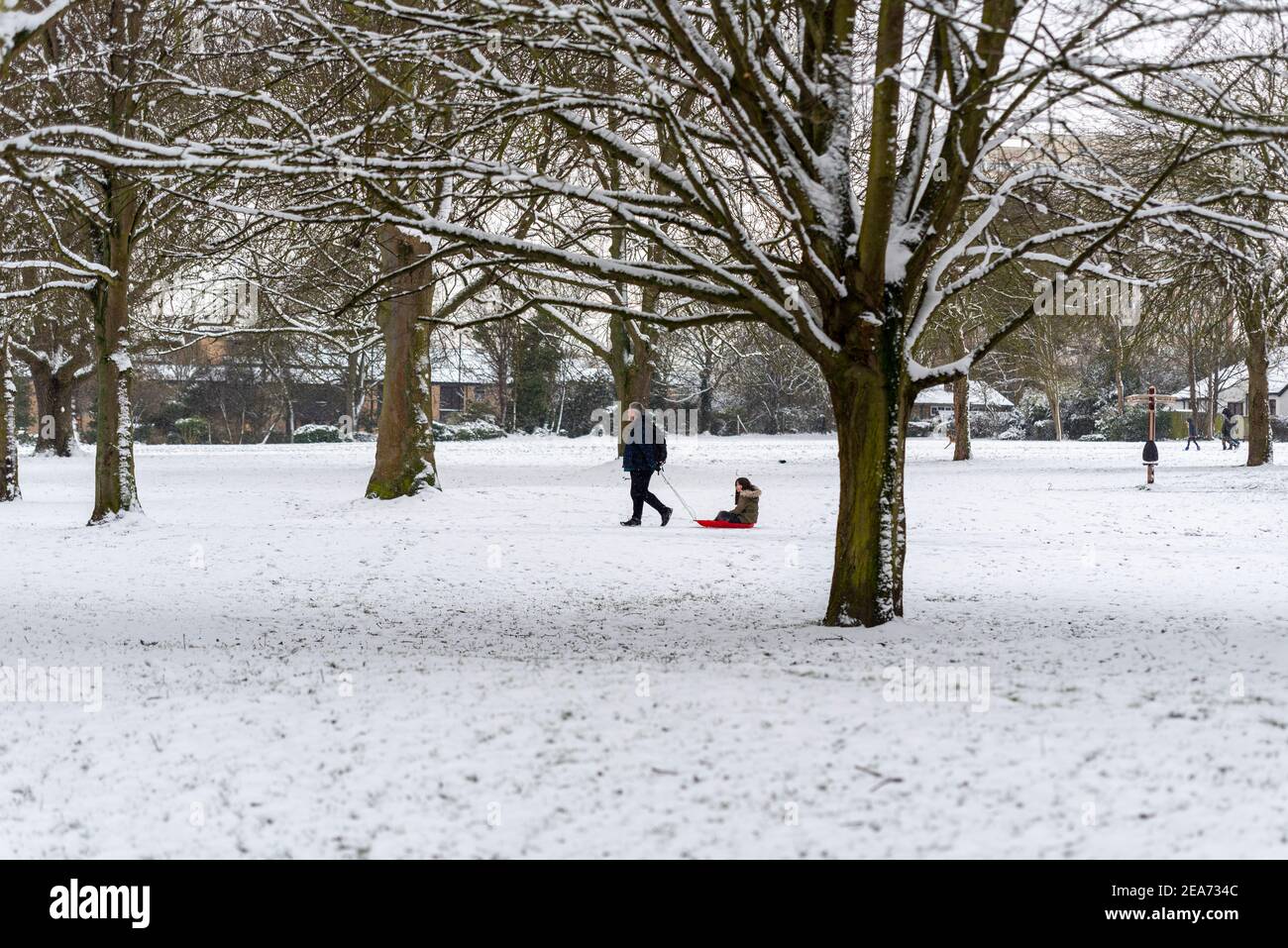 Southend on Sea, Essex, Großbritannien. Februar 2021, 8th. Der Schnee von Storm Darcy ist gefroren und hat die Bedingungen tückisch gemacht. Im Priorat Park der Stadt trainieren die Menschen. Ein Kind, das auf einem Schlitten mitgezogen wird Stockfoto