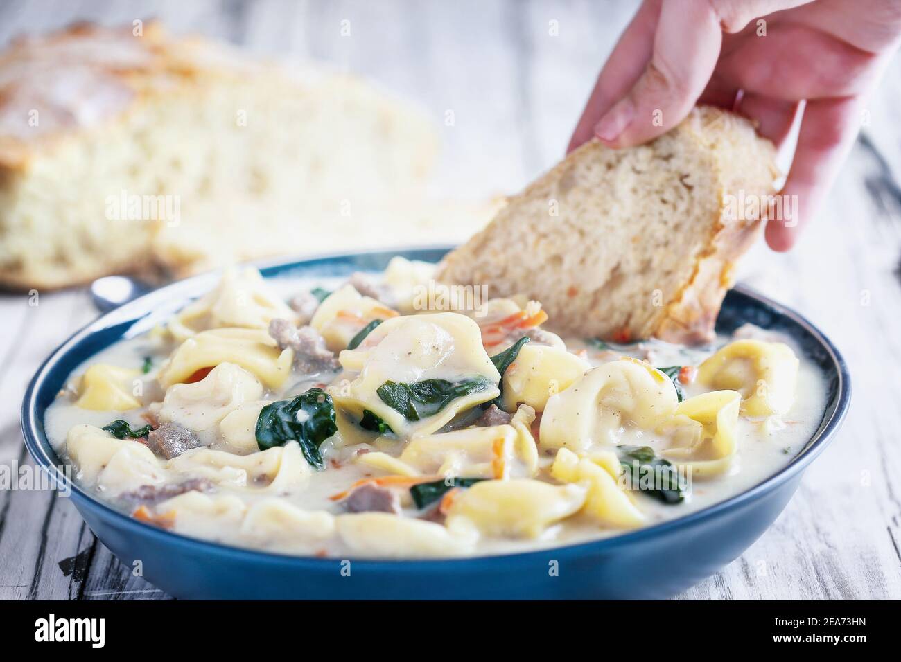 Frische Tortellini Suppe mit italienischer Wurst, Spinat und Karotten. Von Hand eintauchen hausgemachtes hausgemachtes Brot. Selektiver Fokus auf Pasta mit verschwommenem Hintergrund Stockfoto