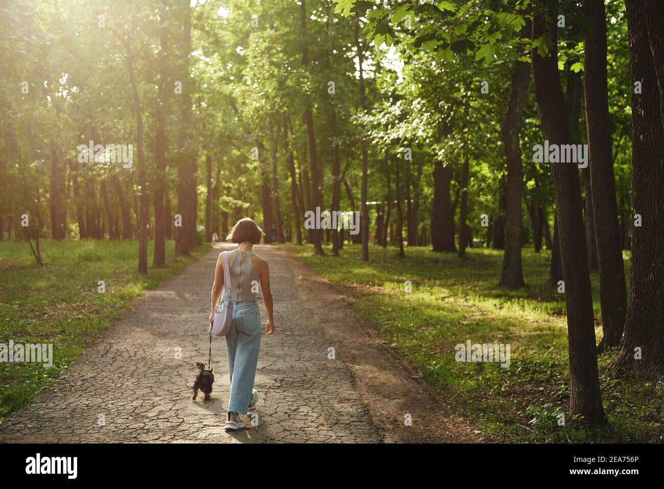 Junge Frau, die im Park mit dem kleinen Hund Yorkshire Terrier spazierengeht. Stockfoto
