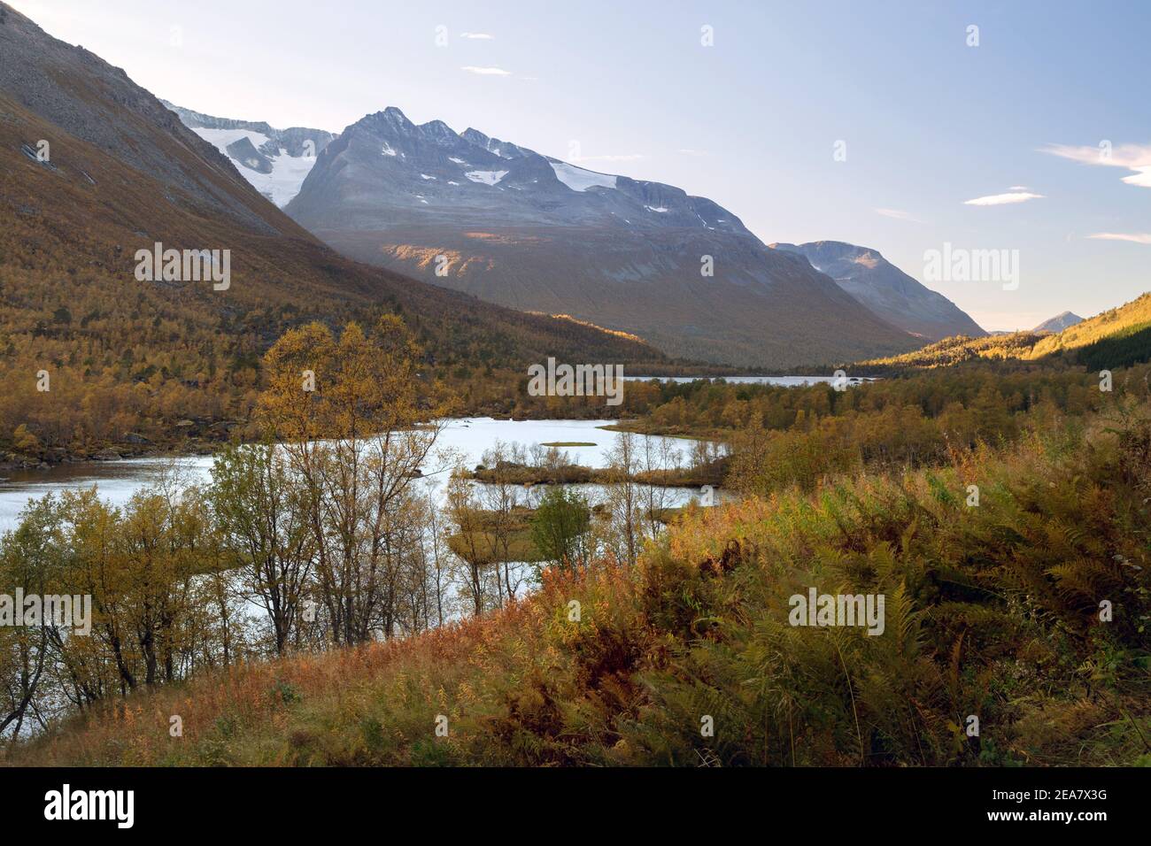 Herbst in den Bergen. Trollheimen Nationalpark in Norwegen. Innerdalen Tal und Bergsee Innerdalsvatnet. Herbstliches Waldgebiet. Stockfoto