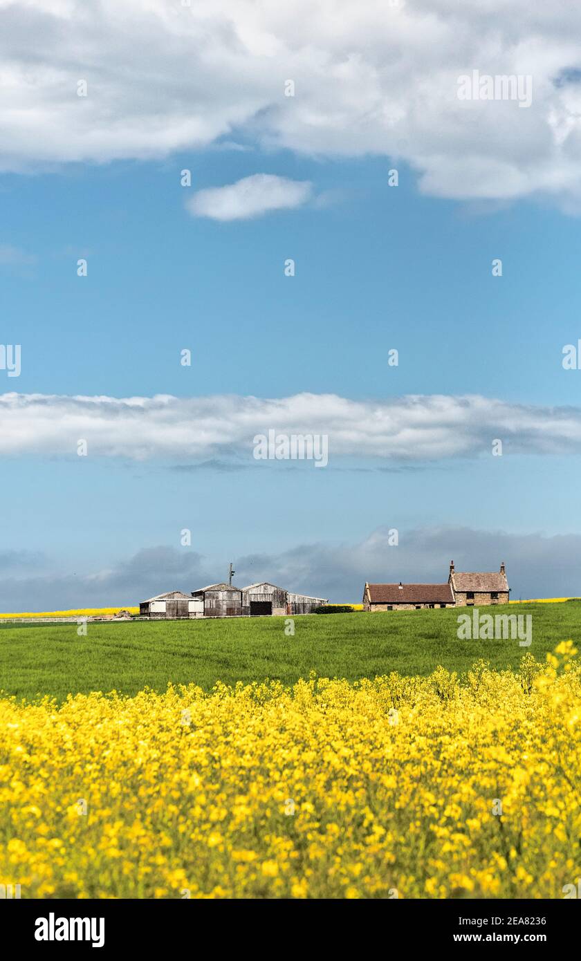 Farm, Brotton Stockfoto