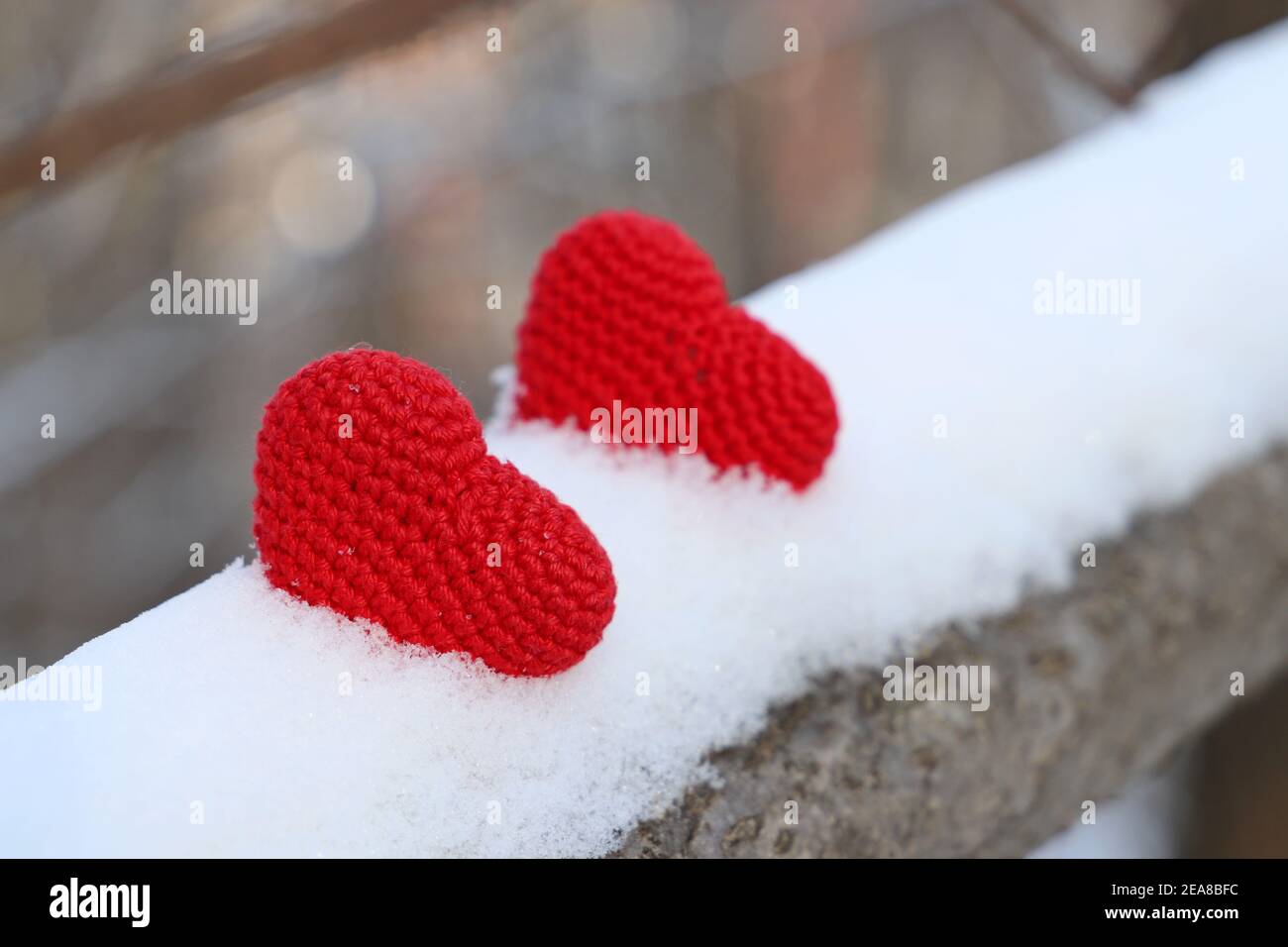 Valentine Herzen auf dem Schnee im Sonnenlicht. Zwei rote gestrickte Symbole der romantischen Liebe auf einem Zweig im Winterwald, Hintergrund für den Urlaub Stockfoto