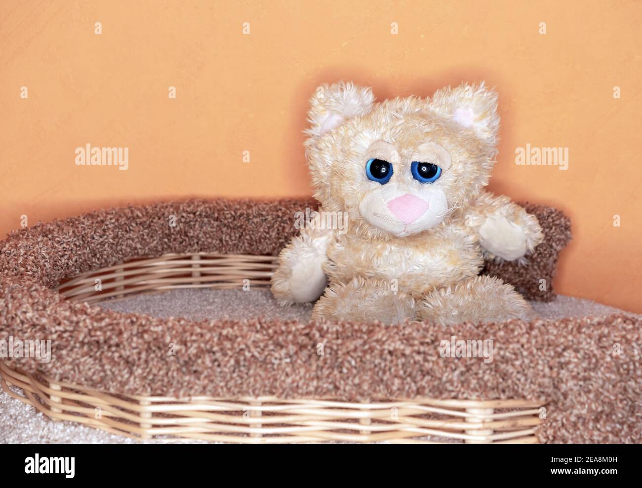 Weiches Spielzeug einer traurigen Katze mit großen blauen Augen. Stockfoto