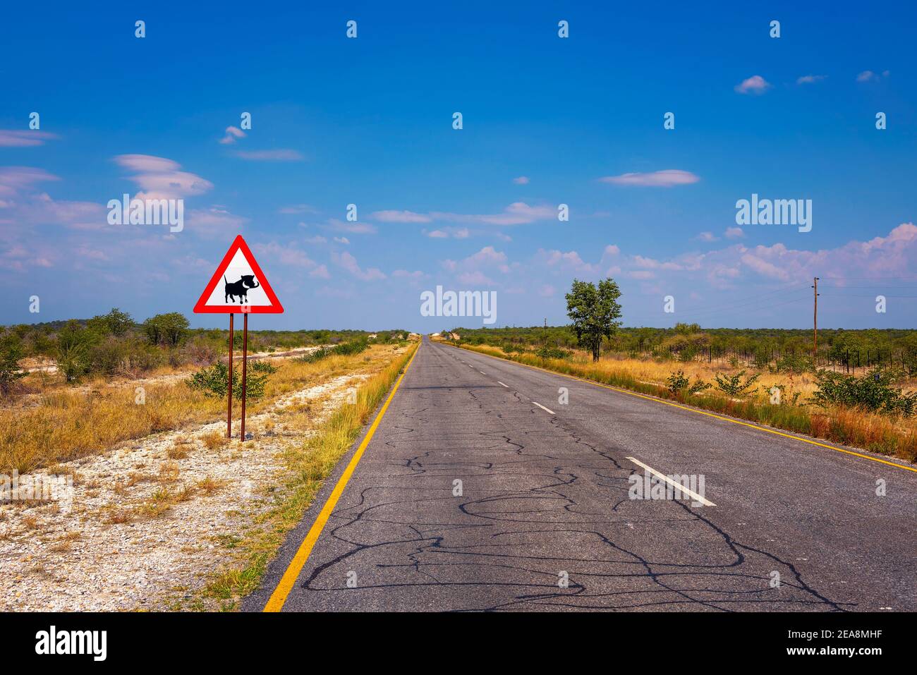 Warzenschweine überqueren Warnschild entlang einer Straße in Namibia platziert Stockfoto