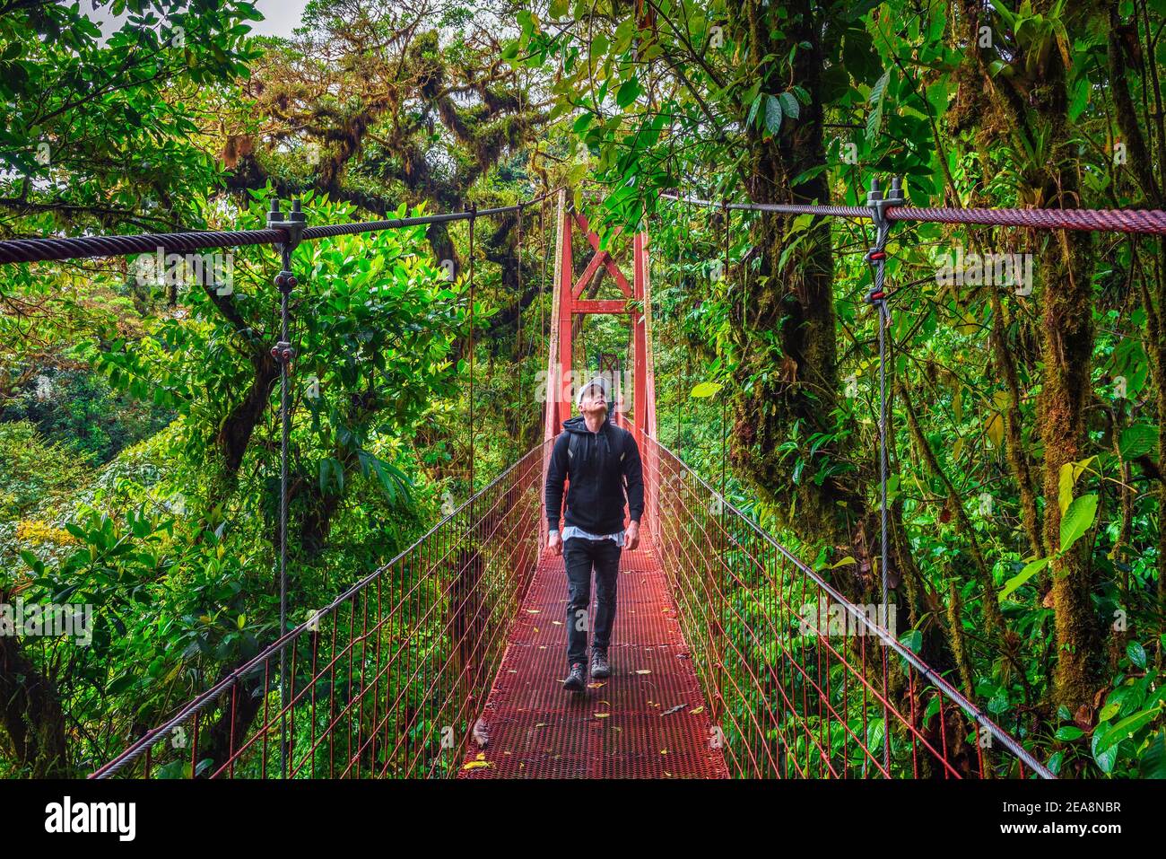 Tourist Wandern auf einer Hängebrücke in Monteverde Cloud Forest, Costa Rica Stockfoto
