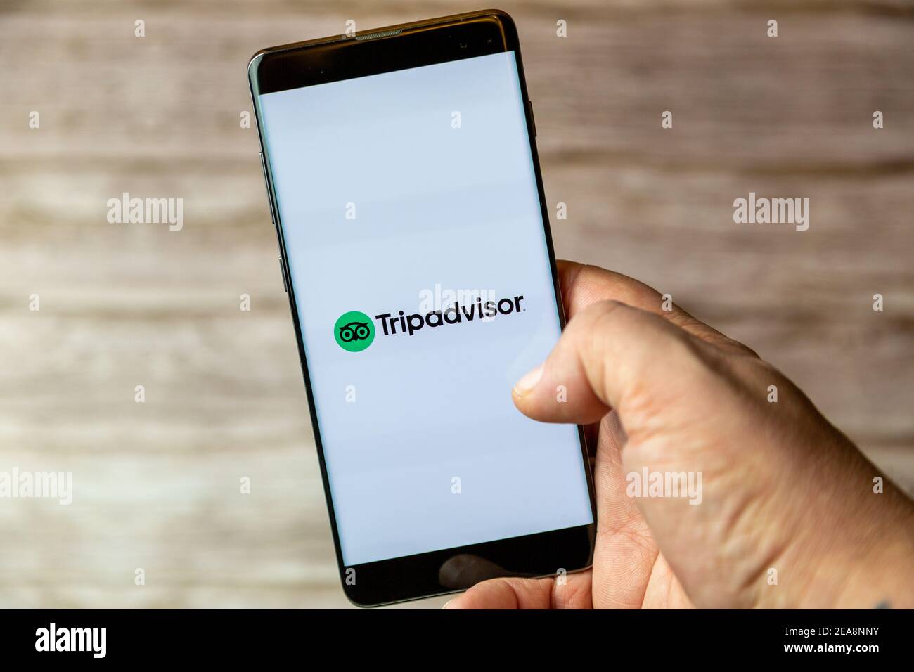 Ein Mobiltelefon oder Mobiltelefon, das in einem gehalten wird Hand mit der Tripadvisor-App auf dem Bildschirm geöffnet Stockfoto