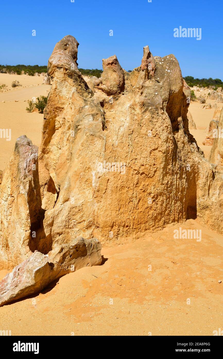 Australien, WA, The Pinnacles in Nambung National Park, bevorzugte Touristenattraktion und natürliches Wahrzeichen, Australien, Steinformationen genannt die Pin Stockfoto