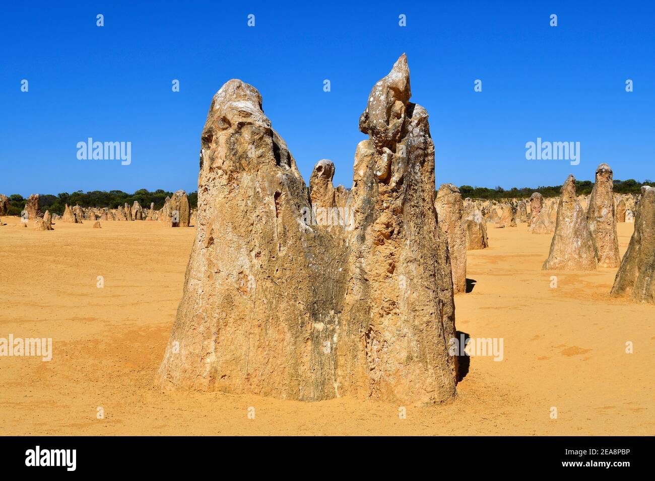 Australien, WA, The Pinnacles in Nambung National Park, bevorzugte Touristenattraktion und natürliches Wahrzeichen, Australien, Steinformationen genannt die Pin Stockfoto