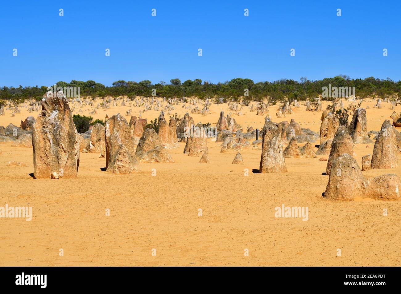 Australien, WA, die Pinnacles im Nambung Nationalpark, bevorzugte touristische Attraktion und natürliche Sehenswürdigkeiten Stockfoto