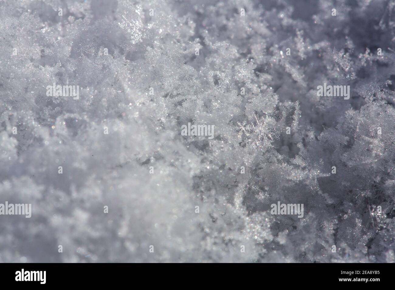 Ein Makrofoto von Neuschnee mit einzelnen Schneeflocken Stockfoto