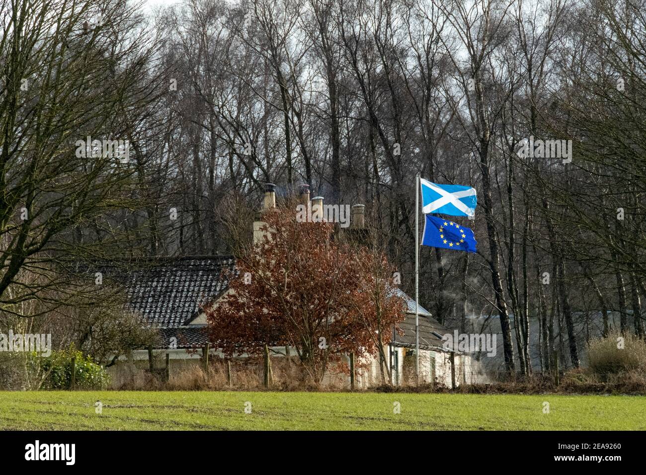Flagge von Saltyre und die Flagge der Europäischen Union, die vor einem Haus in West Lothian, Schottland, fliegt. Stockfoto