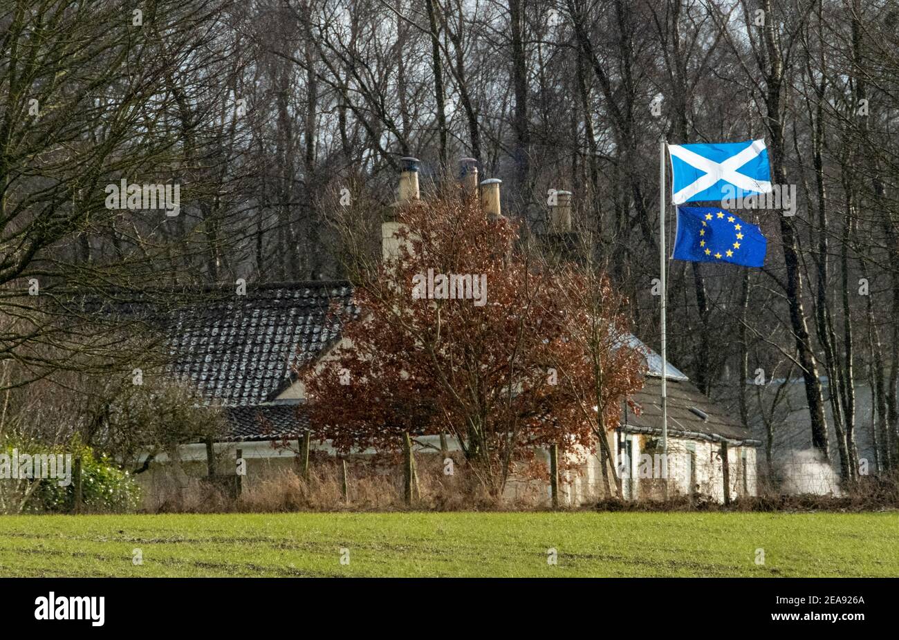 Flagge von Saltyre und die Flagge der Europäischen Union, die vor einem Haus in West Lothian, Schottland, fliegt. Stockfoto