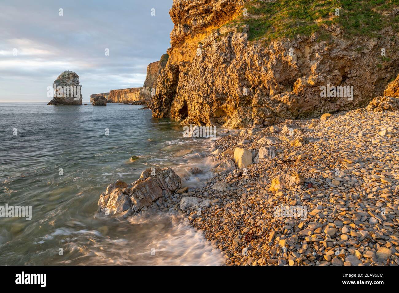 Die magnesianischen Kalksteinfelsen von Marsden Bay, beleuchtet von frühem Sommersonnenlicht, South Shields, England Stockfoto