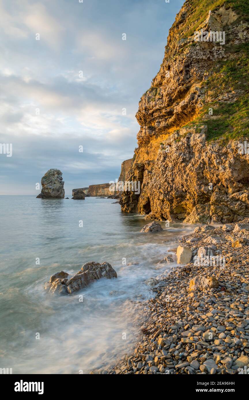 Die magnesianischen Kalksteinfelsen von Marsden Bay, beleuchtet von frühem Sommersonnenlicht, South Shields, England Stockfoto