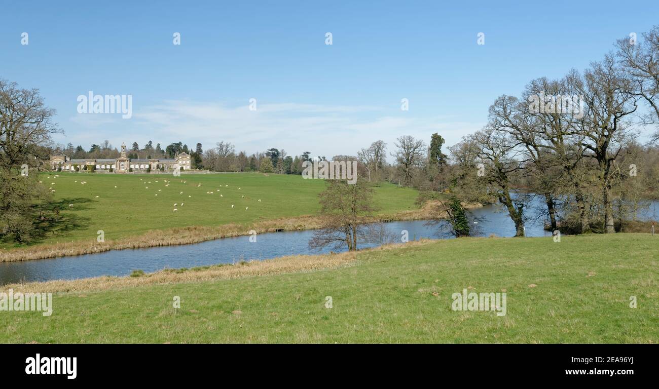 Bowood House and Park, landschaftlich gestaltet von Capability Brown, mit weidenden Hausschafen (Ovis aries) und Ziersee, Derry Hill, Wiltshire, Großbritannien. Stockfoto