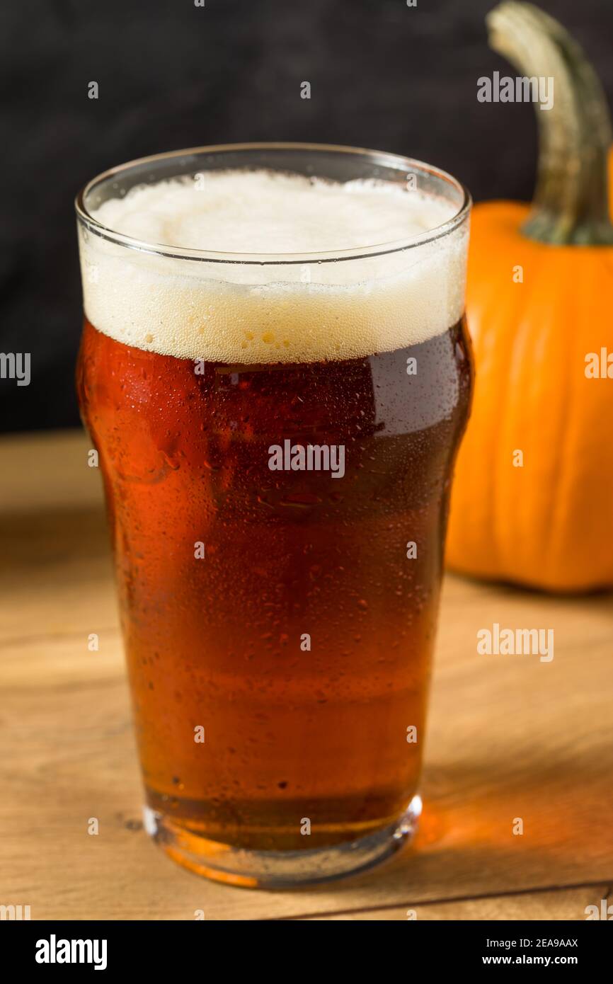 Kühles erfrischendes Kürbis Ale Bier in einem Pintglas Stockfoto