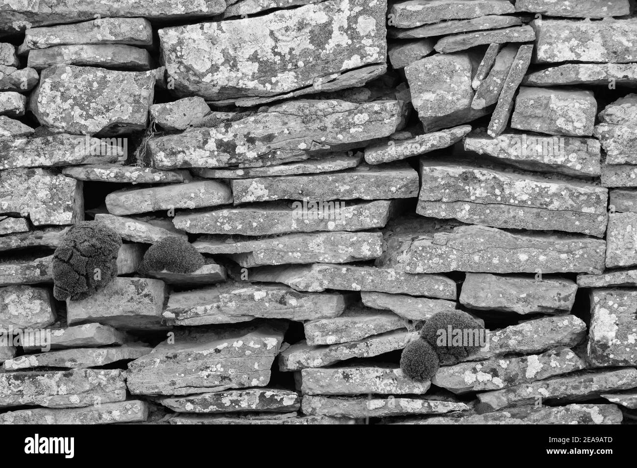 Bild von Steinmauer in ländlicher Umgebung, schwarz-weiß-Bild Stockfoto