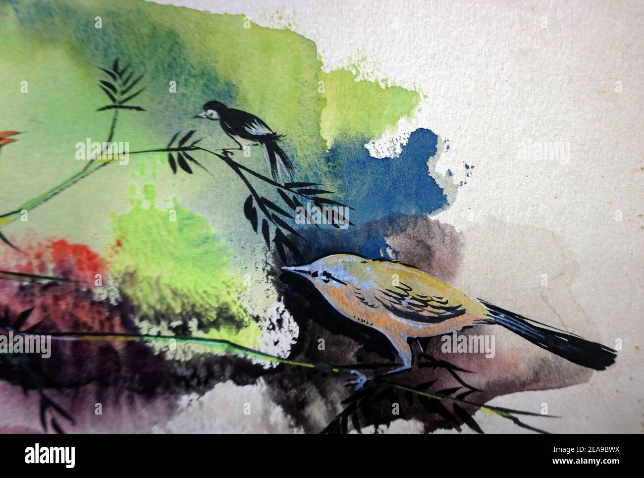 Kunst, Malerei, Hintergründe für Design, Aquarellvogel im Dschungel Stockfoto