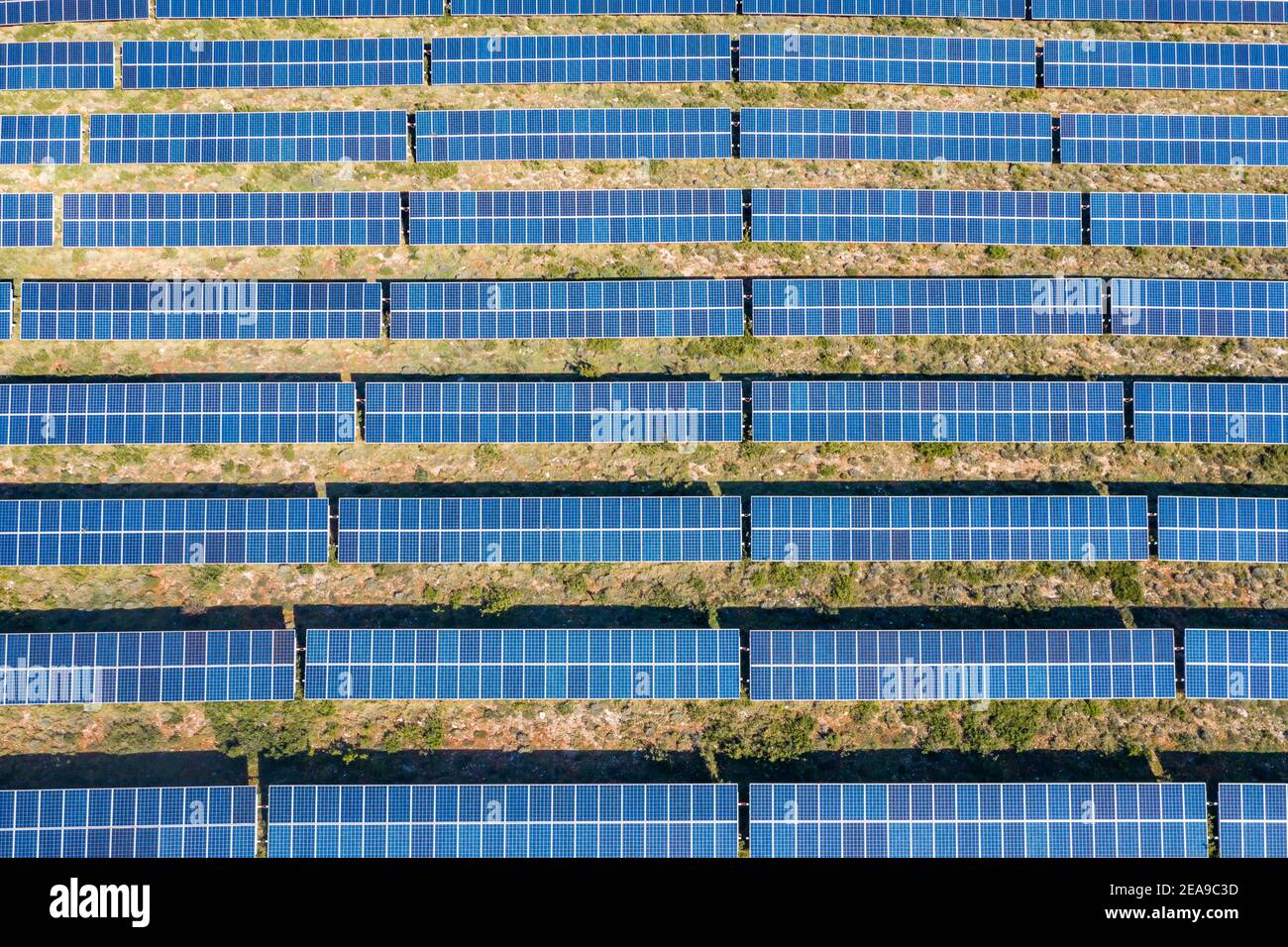 Sonnenkollektoren Kraftwerk Drohne Antenne Draufsicht. Alternative grüne Energieerzeugung Konzept. Grüne Öko-erneuerbare Industrie Stockfoto