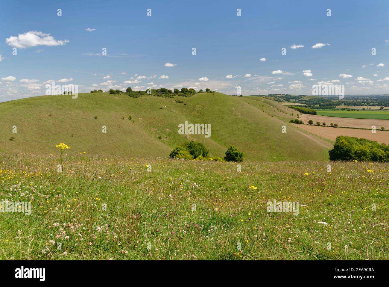 Pewsey Downs und das Tal von Pewsey, im Sommer von knapp Hill aus gesehen, in der Nähe von Devizes, Wiltshire, Großbritannien, Juli. Stockfoto