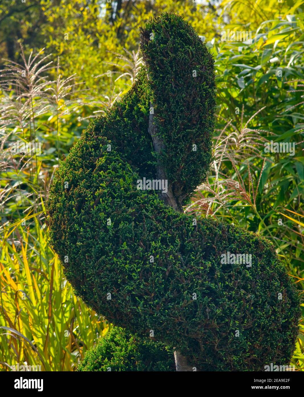 Zengarten deutschland Fotos und Bildmaterial in hoher Auflösung Alamy