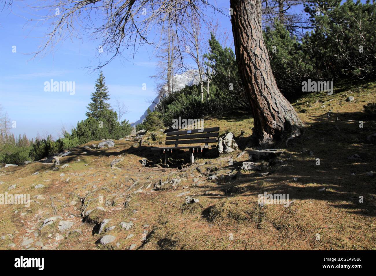 Österreich, Tirol, Ehrwald, Seebensee, Zugspitze, Zugspitzmassiv, Berge, alpen, Wettersteingebirge, Berglandschaft, Berglandschaft, Idylle, Bergmassiv, Bergmassiv, Himmel, Fels, Tourismus, verlassen, Spätherbst, Natur, Lärche, Bank, Sitzgelegenheit Stockfoto