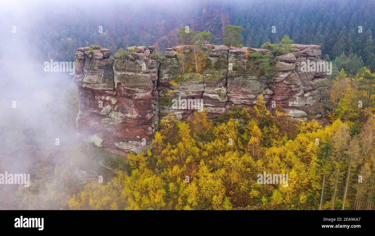 Altfels im Pinschbachtal bei Kastel-Staadt, Saartal, Rheinland-Pfalz, Deutschland Stockfoto