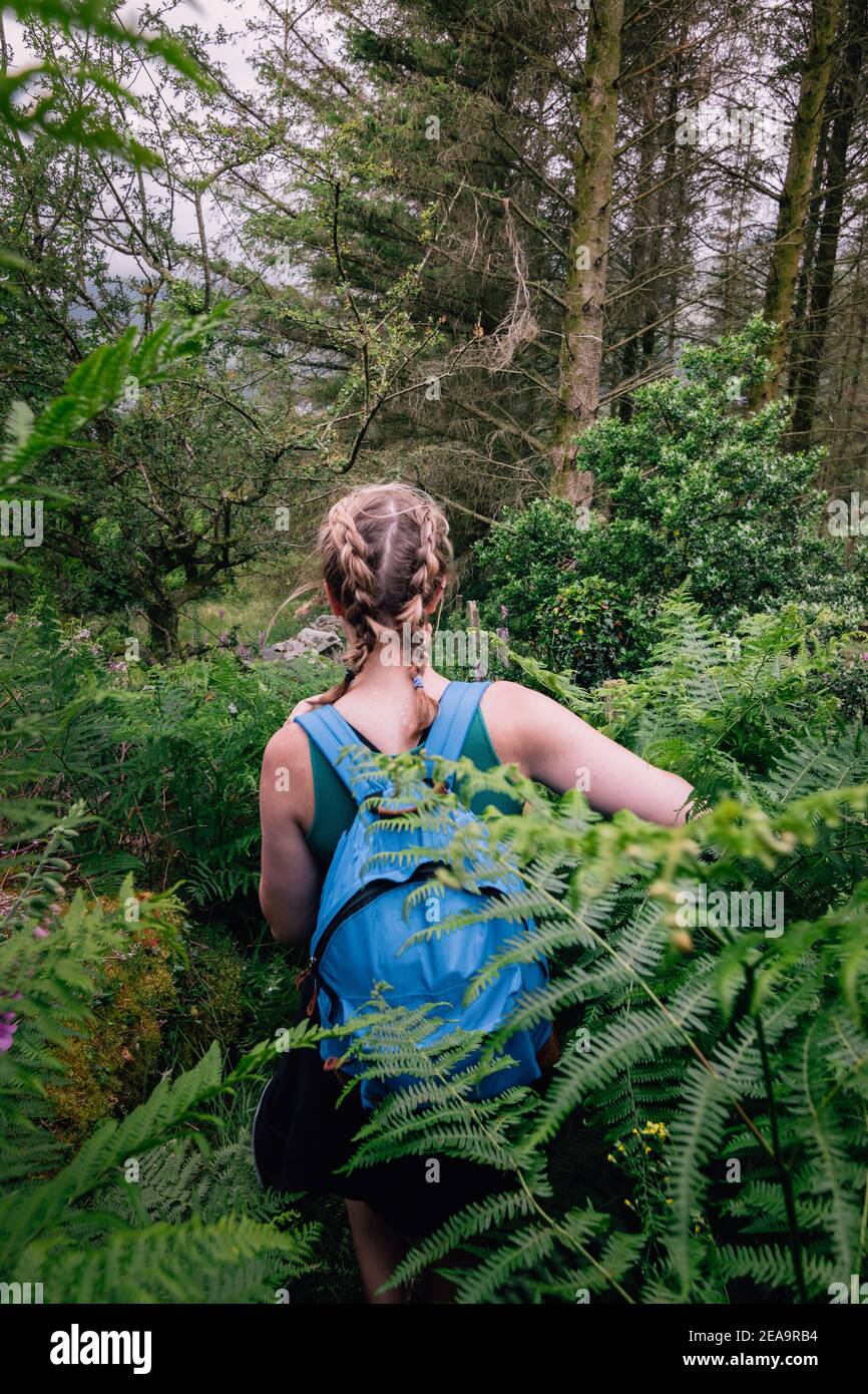 Blonde junge Ausflügler auf ihrem Rücken mit Zöpfen trägt ein Blauer Rucksack und tiefer in den Wald Stockfoto