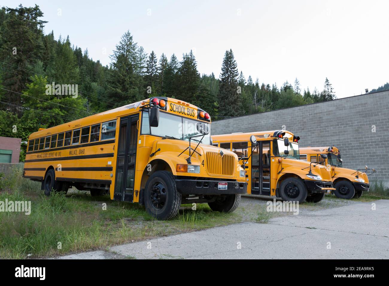 Eine Reihe von Schulbussen parkte in der Wallace School District 393 Bus Garage in Wallace, Idaho. Stockfoto