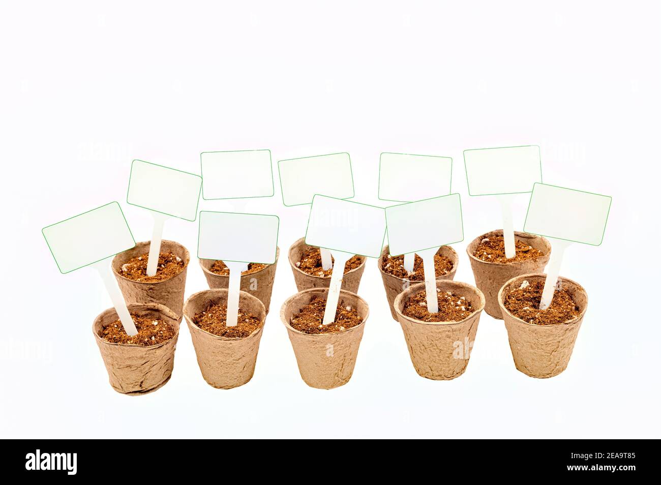 Horizontale Aufnahme von zehn Torftöpfen mit Erde und weißen, weißen, weißen Zeichen isoliert auf Weiß. Stockfoto