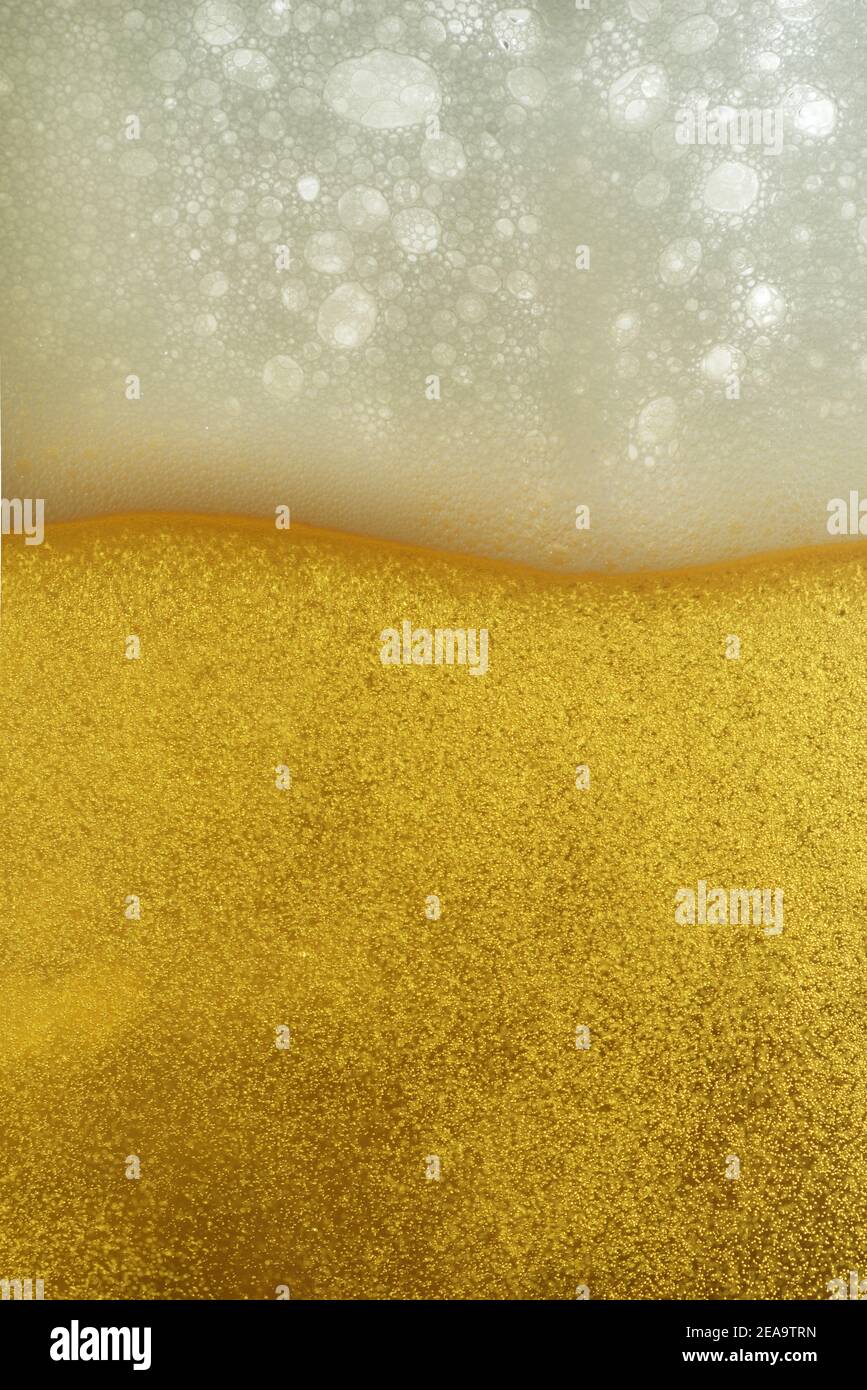 Bier. Helles Bier mit Blasen und Schaumstoffhintergrund Stockfoto