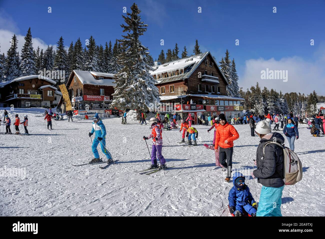 Die Leute haben Spaß auf den Skipisten im Bereich der Aleko Hütte;Vitosha Berg;Bulgarien; Stockfoto