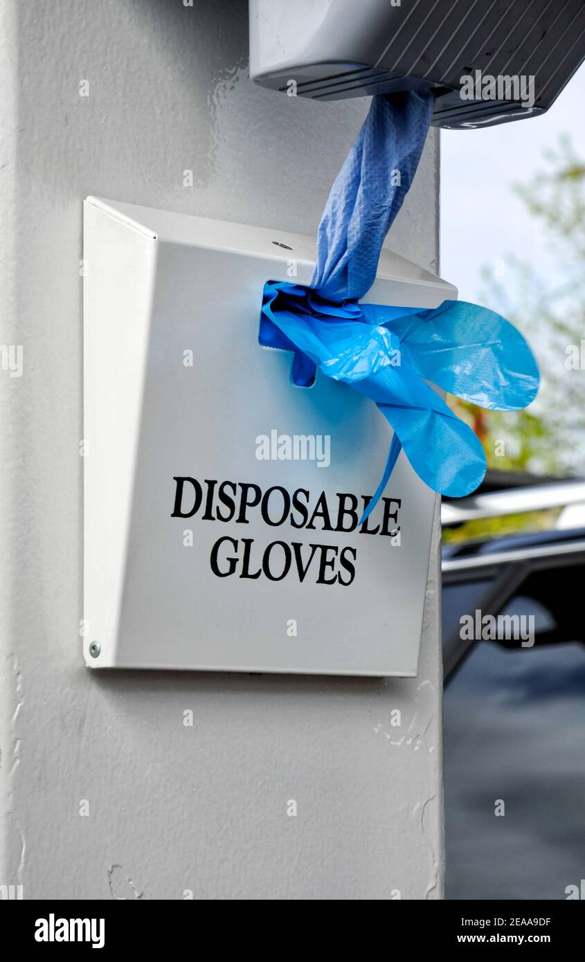 Einweg-glover-Spender mit blauen Einweghandschuhen, die herausstehen Stockfoto