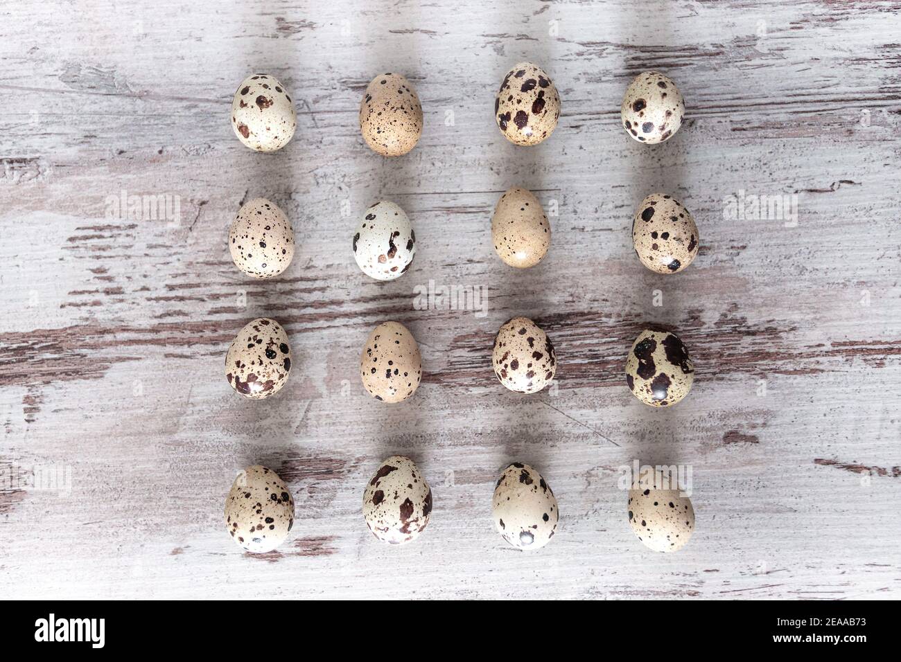Wachteleier auf Holztisch Hintergrund. Konzept, Vorlage, Draufsicht, Kopierbereich Stockfoto