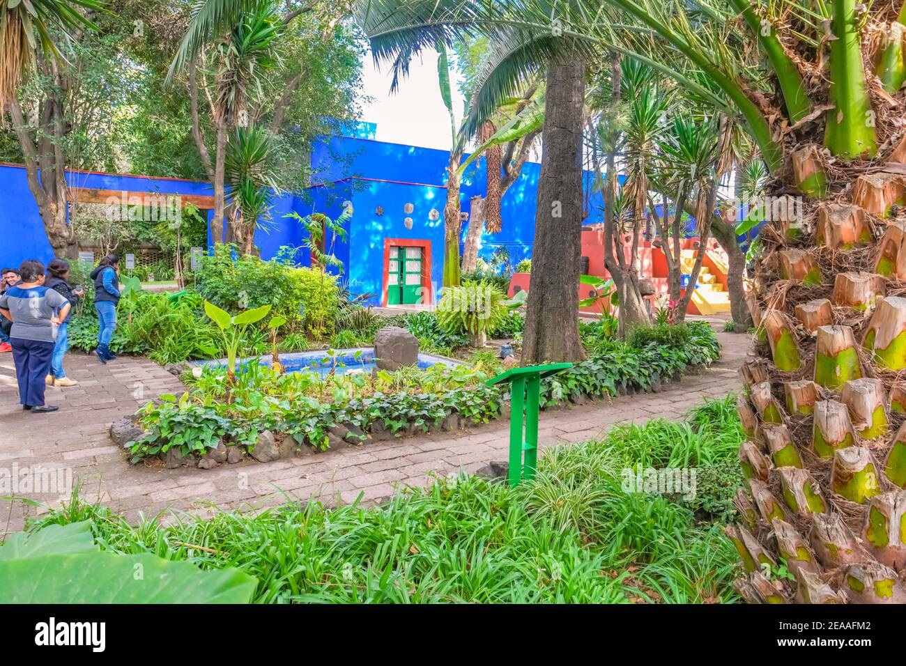 Garten des Frida Kahlo Museums (Museo Frida Kahlo), auch bekannt als das Blaue Haus (La Casa Azul) in Mexiko-Stadt, Mexiko an einem sonnigen Tag. Stockfoto