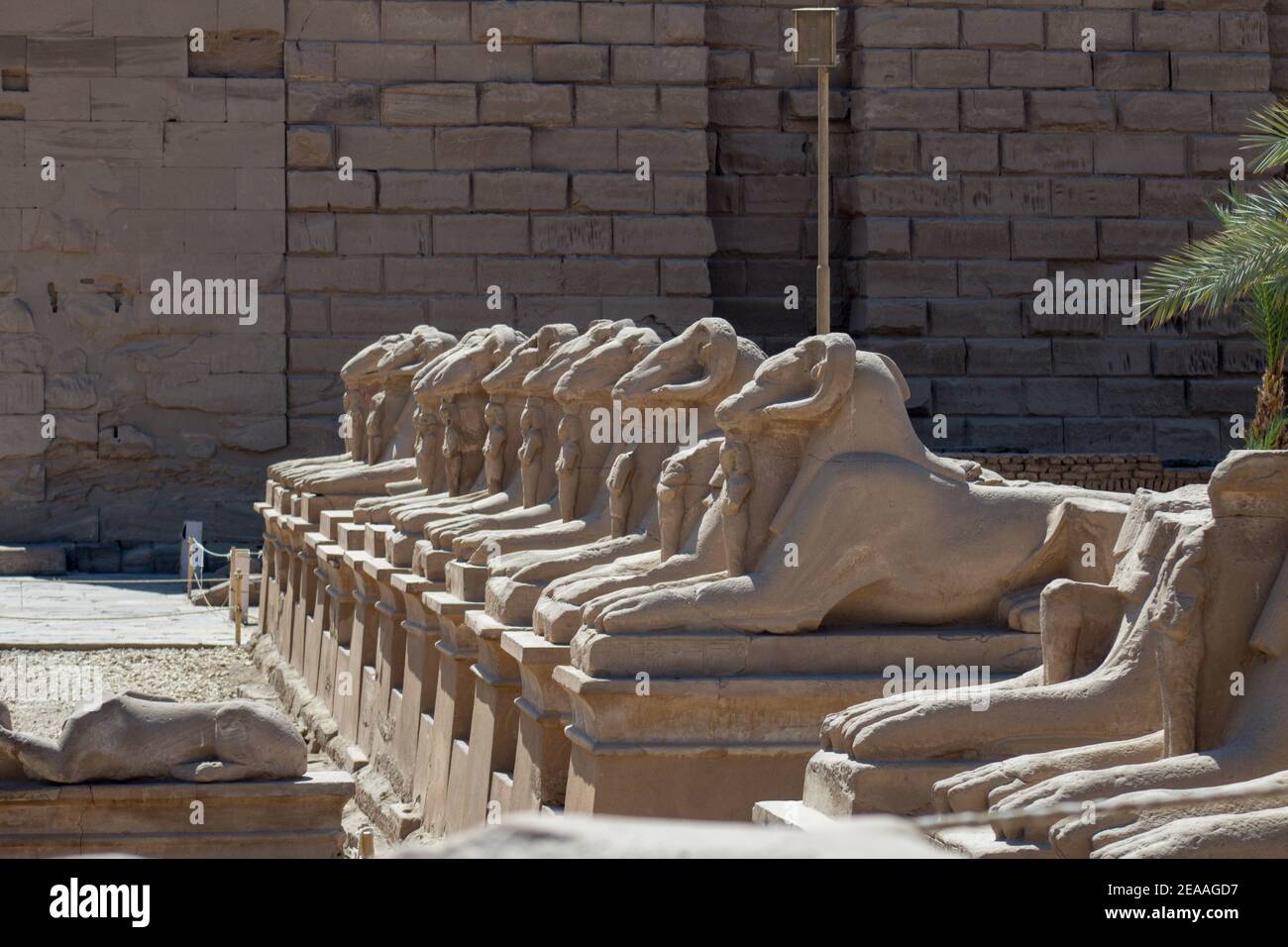 Sphinx im Karnak Tempel, Luxor, Ägypten, Afrika Stockfoto