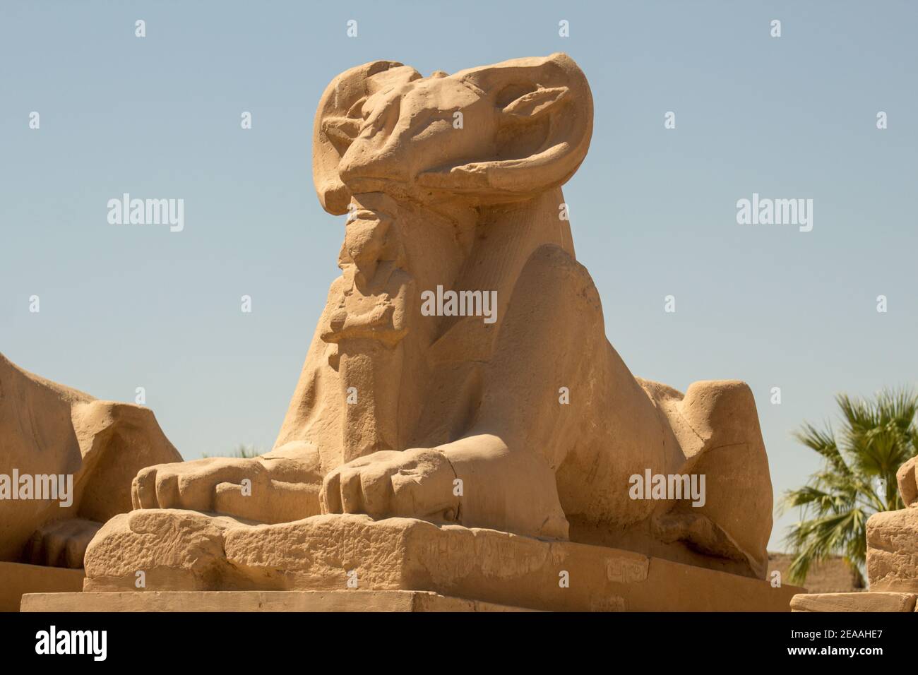 Karnak Tempel, Luxor, Ägypten, Afrika Stockfoto