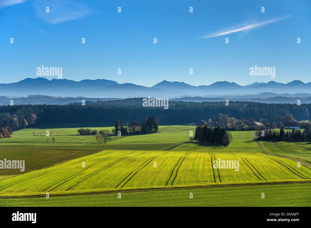 Deutschland, Bayern, Oberbayern, Bezirk Rosenheim, Feldkirchen-Westerham, Bezirk Aschhofen, Kulturlandschaft gegen Mangfallgebirge Stockfoto