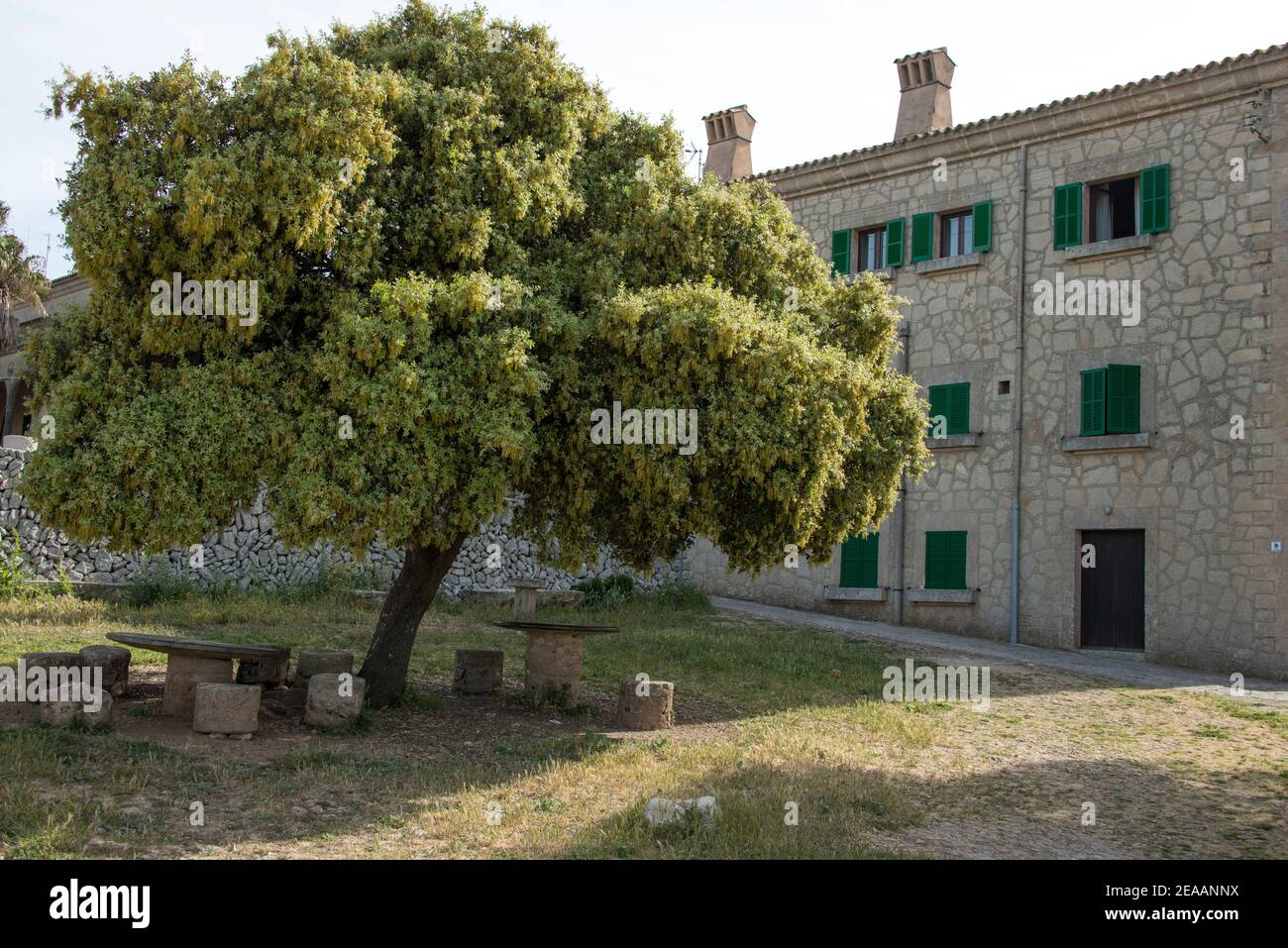 Picknickplatz im Innenhof der Abtei von Santuari de Sant Salvador, Mallorca Stockfoto