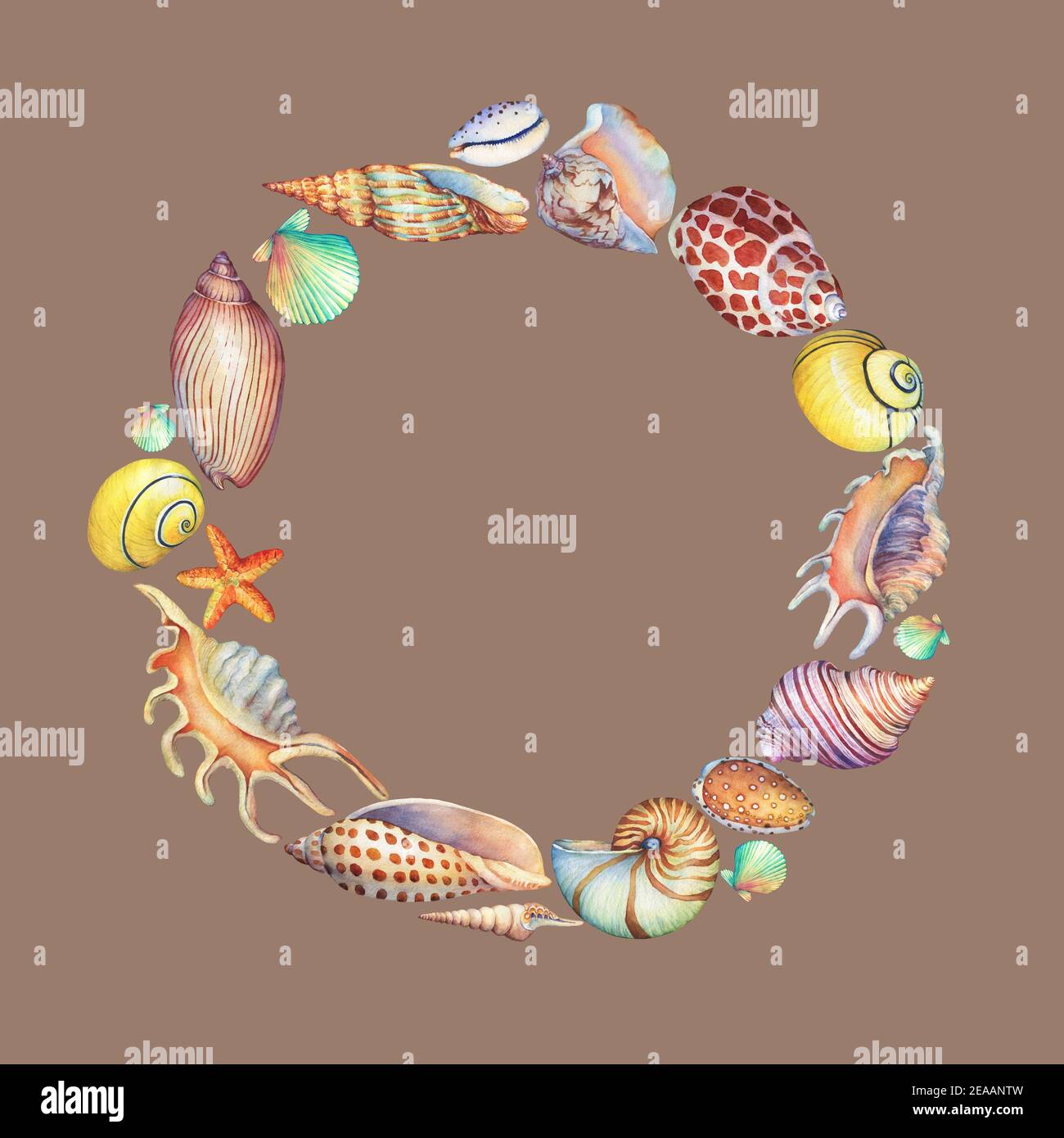 Runder Rahmen aus Muscheln. Handgezeichnetes Aquarell auf braunem Hintergrund. Stockfoto