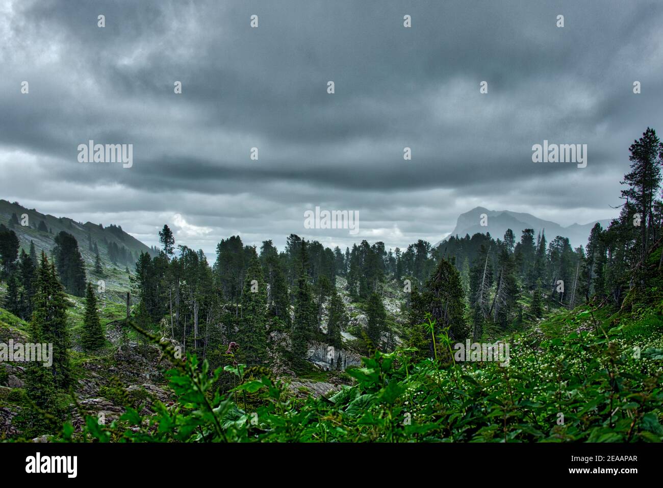 Regen und wolkenbehangene Karstplateau Stockfoto