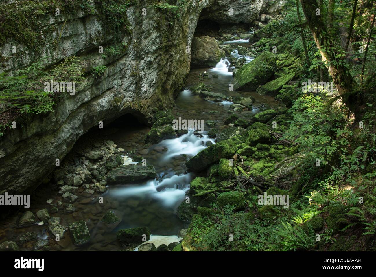 Areuse Gorge Bach Stockfoto