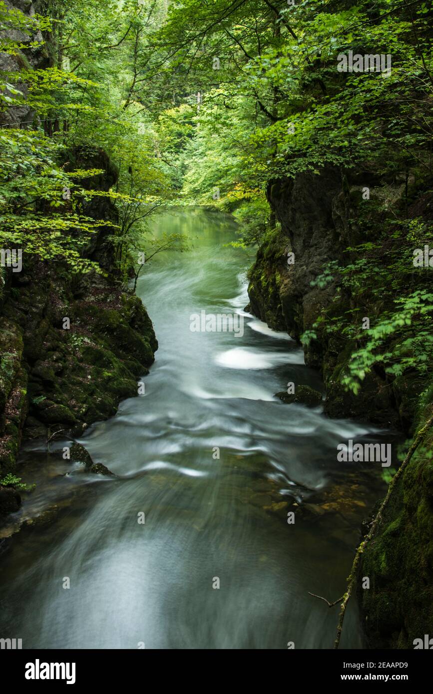 Bach in der Areuse Gorge Stockfoto
