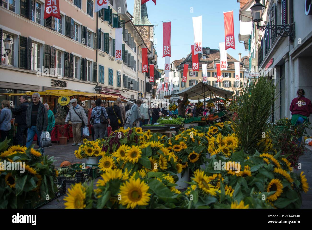 Markttag in Solothurn Stockfoto