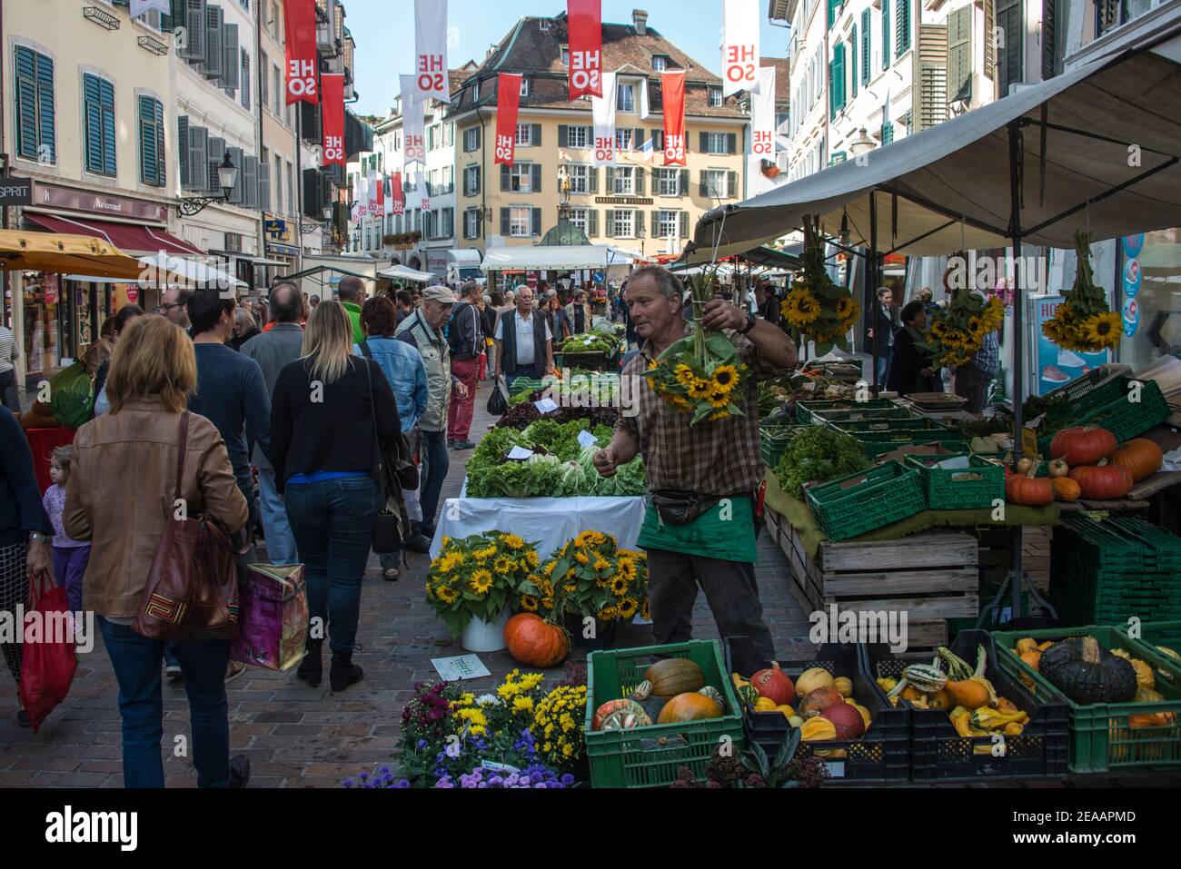 Markttag in Solothurn Stockfoto