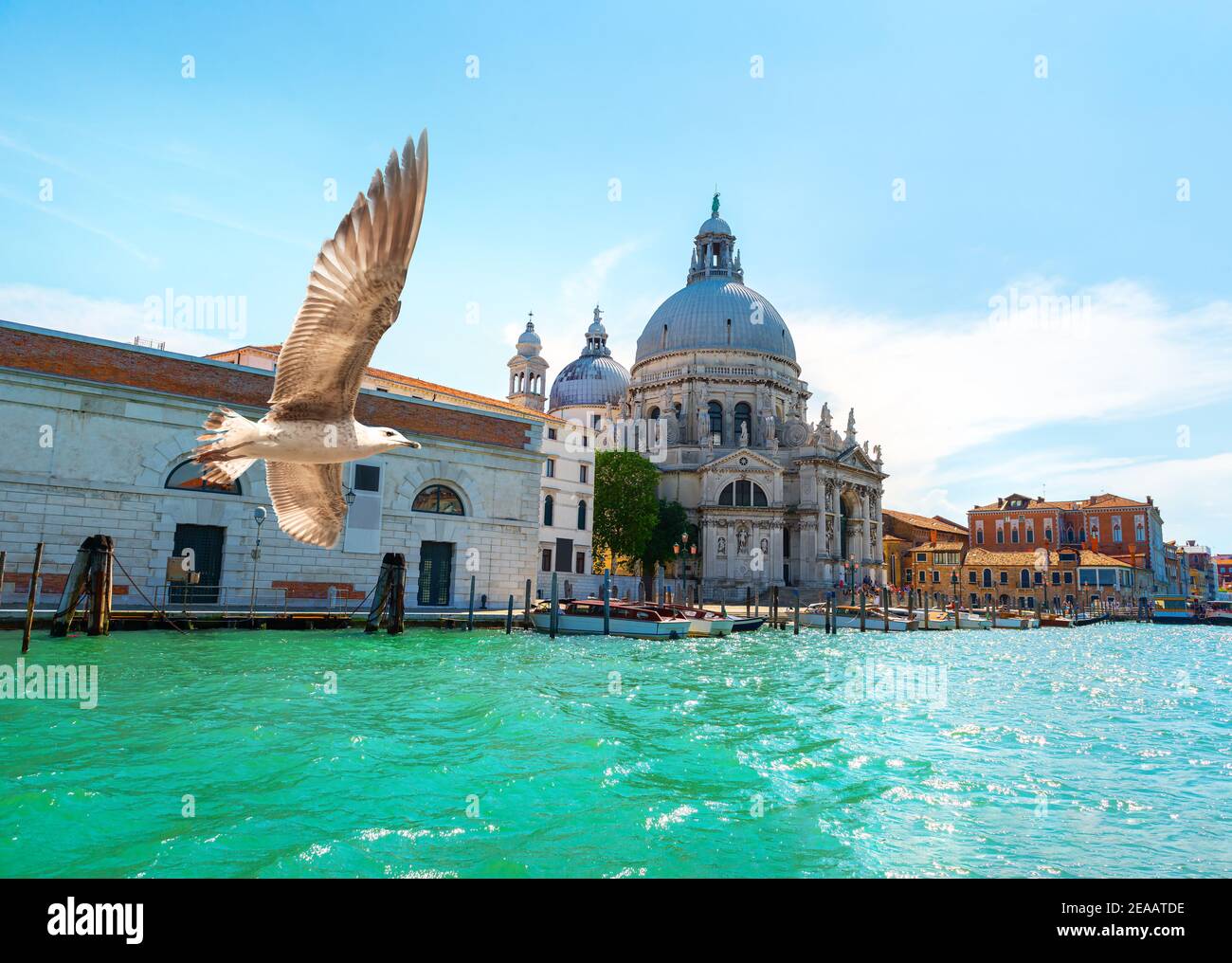 Basilica di Santa Maria della Salute in Venedig, Italien Stockfoto