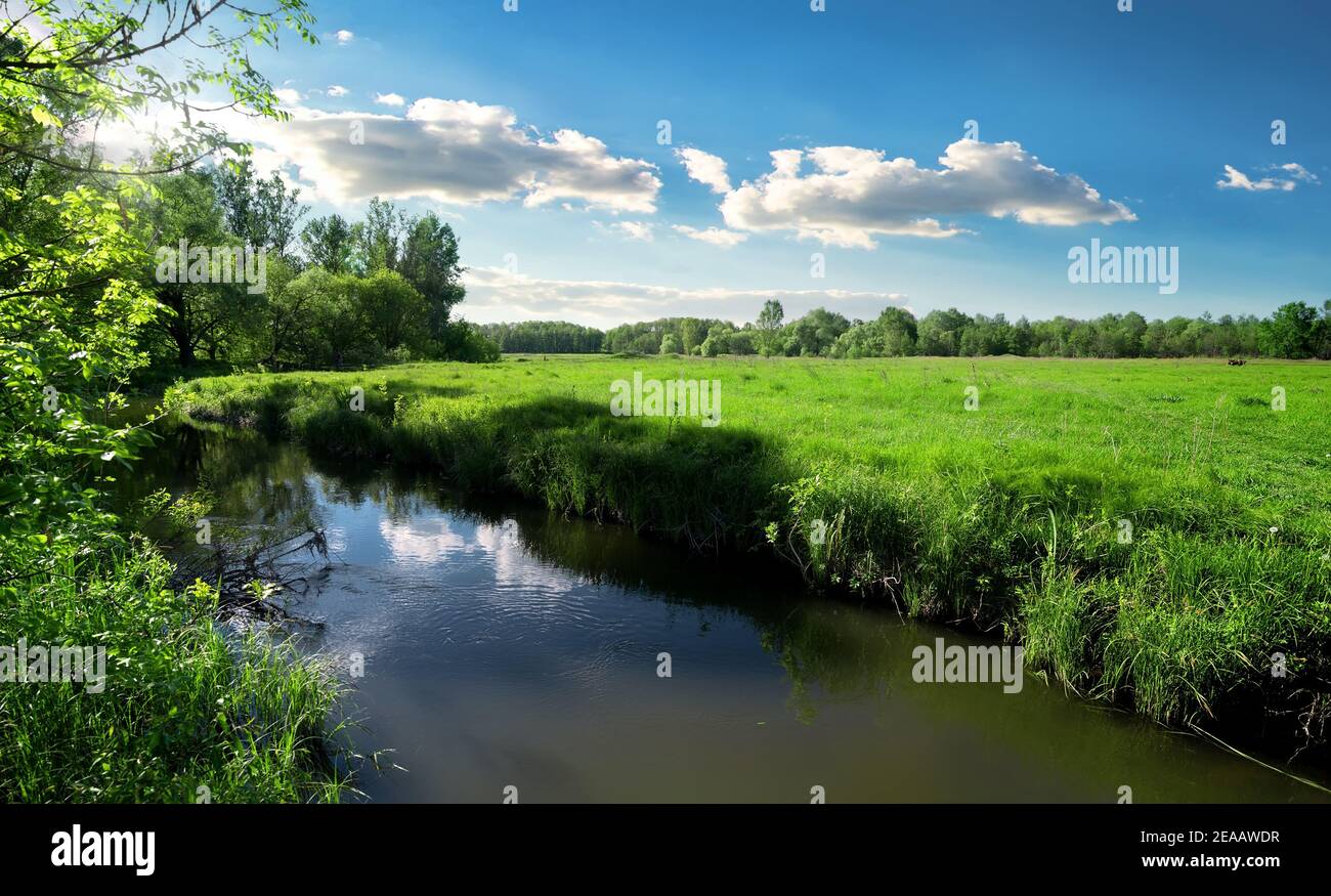 Fluss und Feld im Frühjahr an einem sonnigen Tag Stockfoto